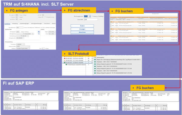 TRM on S/4 HANA - Belege im ERP